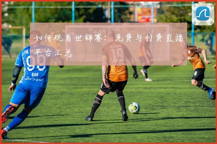 如何观看世锦赛:免费与付费直播平台汇总