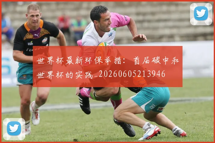 世界杯最新环保举措:首届碳中和世界杯的实践_20260605213946